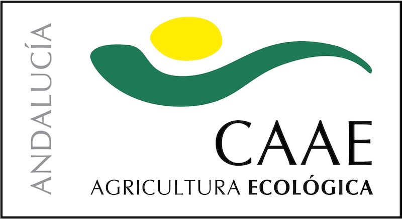 organic olive oil