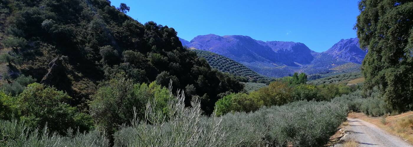 Parque de las Sierras Subbéticas
